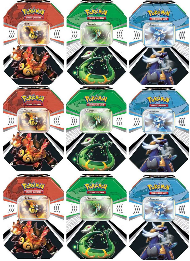 Evolved Battle Action Collector's Tin Display Pokémon