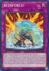 REINFORCE! [MP24-EN354] Common Yu-Gi-Oh!