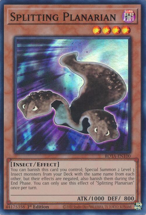 Splitting Planarian [ROTA-EN100] Super Rare Yu-Gi-Oh!