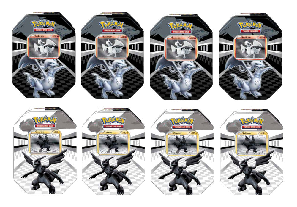 Black & White - New Legends Tin Display Pokémon