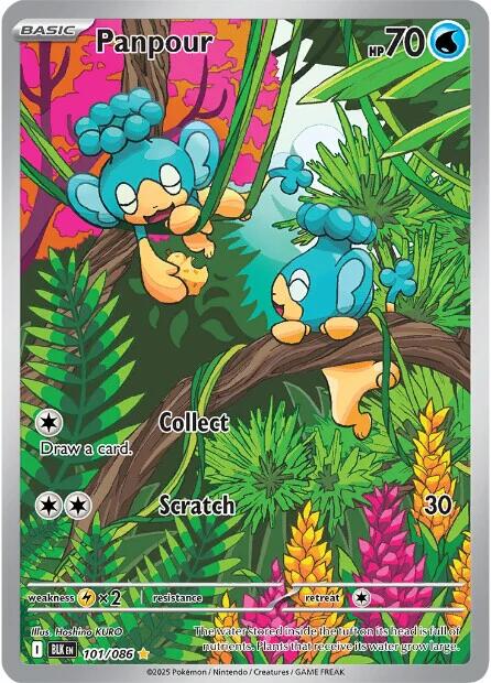 Panpour (101/086) [Scarlet & Violet: Black Bolt] Pokémon
