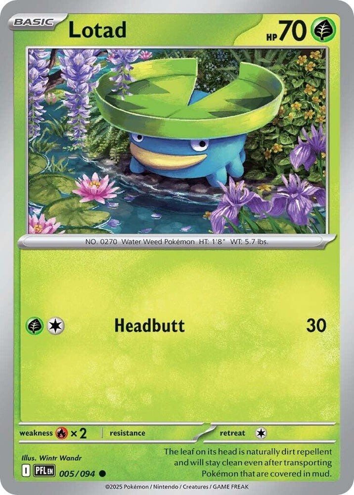 Lotad (005/094) [Mega Evolution: Phantasmal Flames] Pokémon