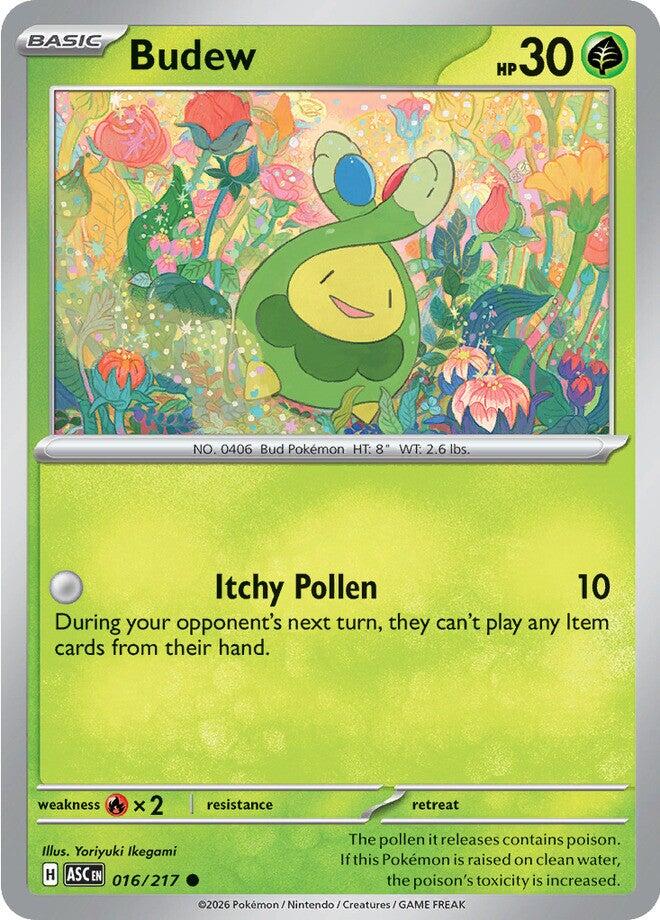 Budew (016/217) [Mega Evolution: Ascended Heroes] Pokémon