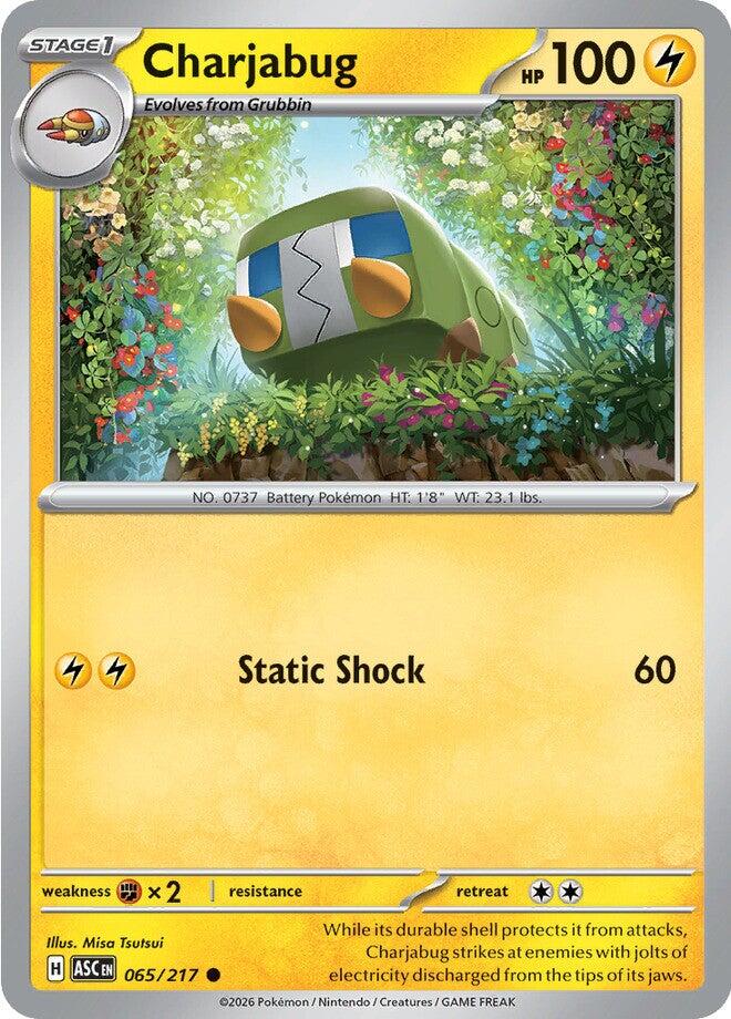 Charjabug (065/217) [Mega Evolution: Ascended Heroes] Pokémon