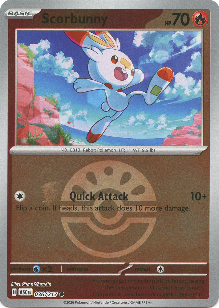 Scorbunny (036/217) (Friend Ball) [Mega Evolution: Ascended Heroes] Pokémon