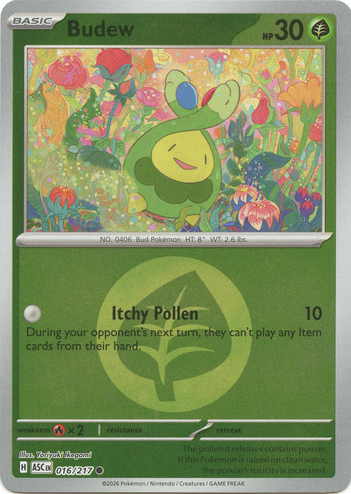 Budew (016/217) (Energy Symbol Pattern) [Mega Evolution: Ascended Heroes] Pokémon