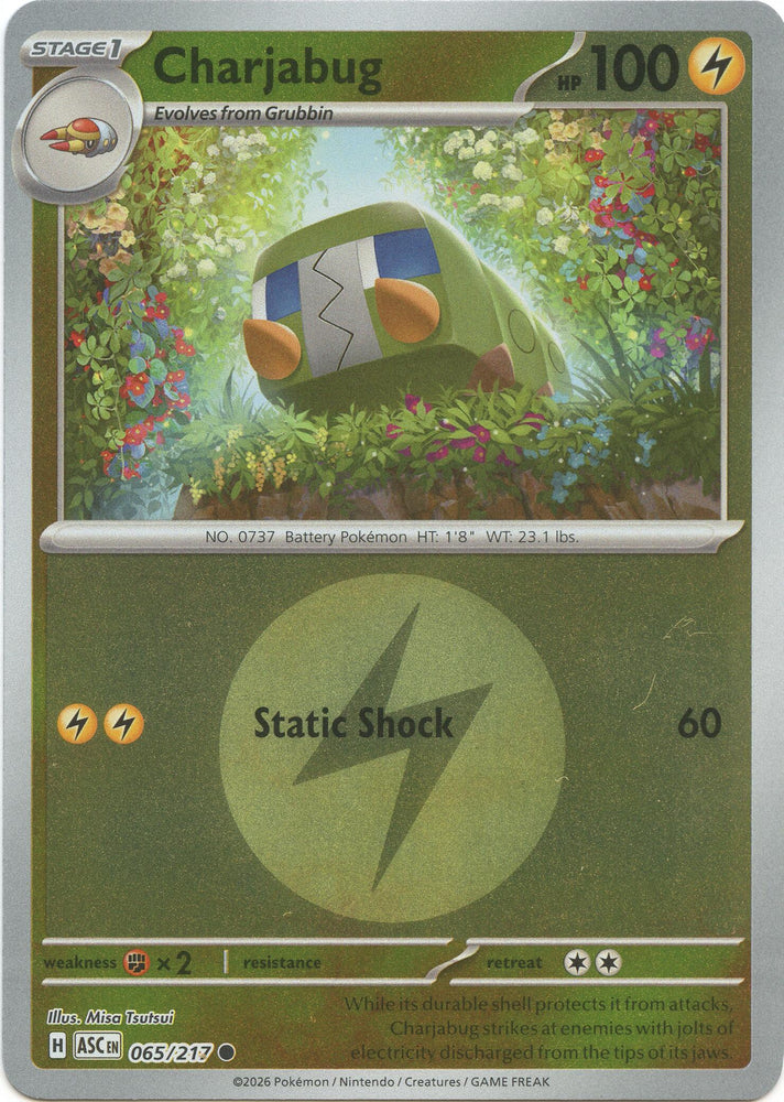 Charjabug (065/217) (Energy Symbol Pattern) [Mega Evolution: Ascended Heroes] Pokémon