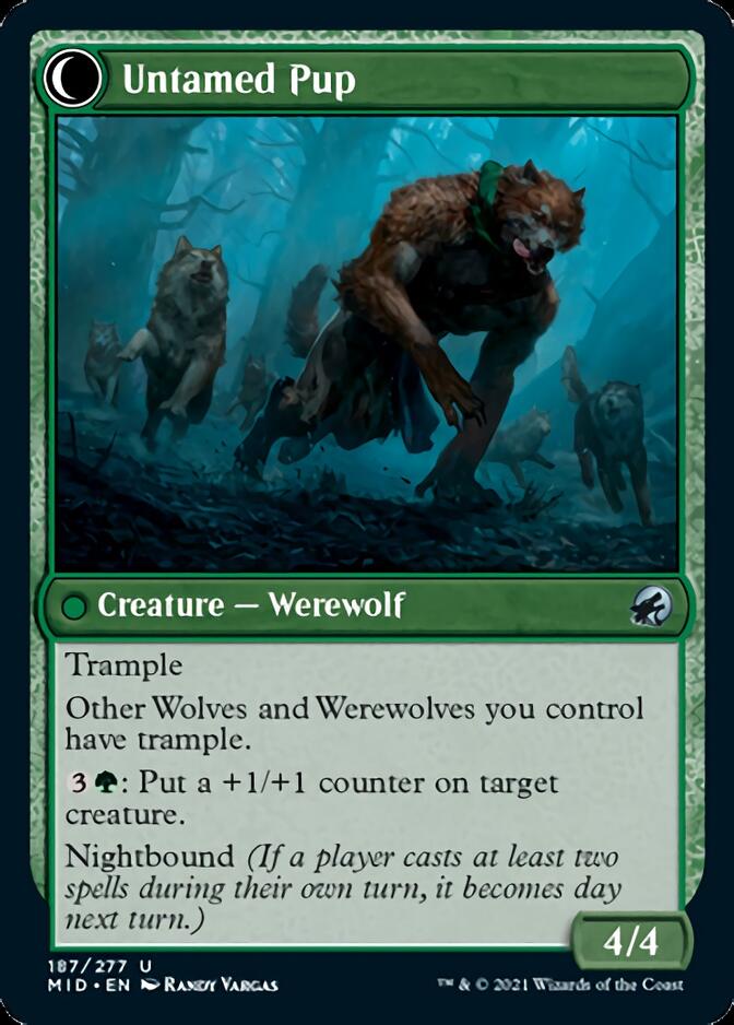 Hound Tamer // Untamed Pup [Innistrad: Midnight Hunt] Magic: The Gathering