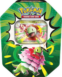 Ascended Heroes Tin [Mega Meganium ex] Pokémon