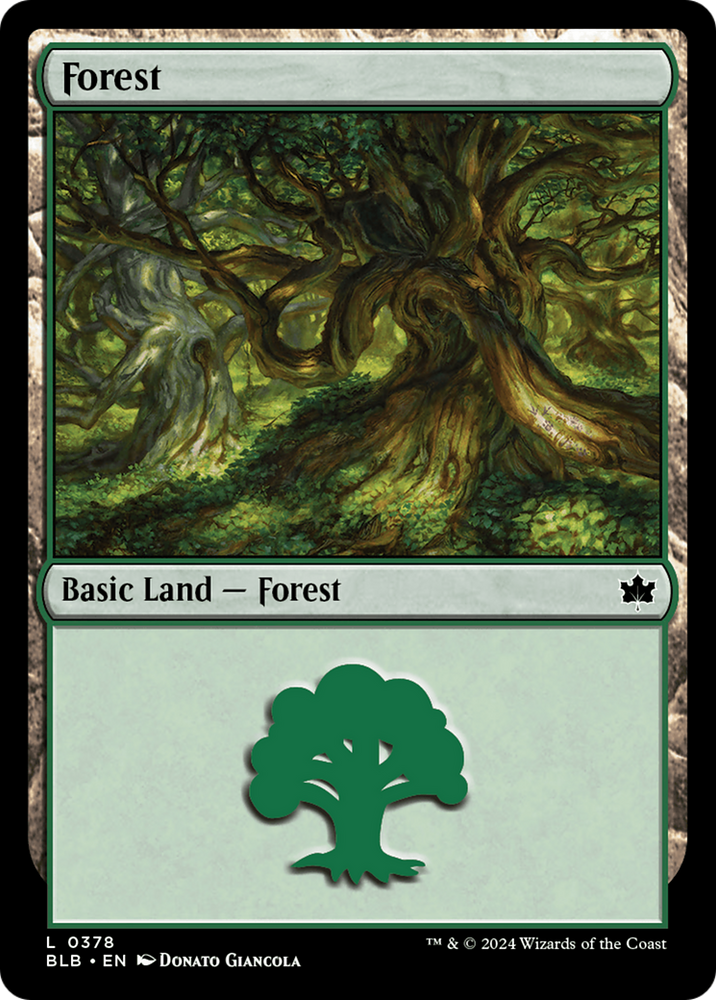Forest (0378) [Bloomburrow] Magic: The Gathering