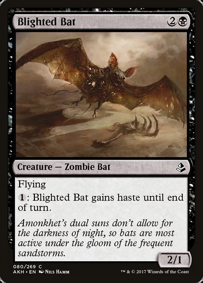 Blighted Bat [Amonkhet] Magic: The Gathering