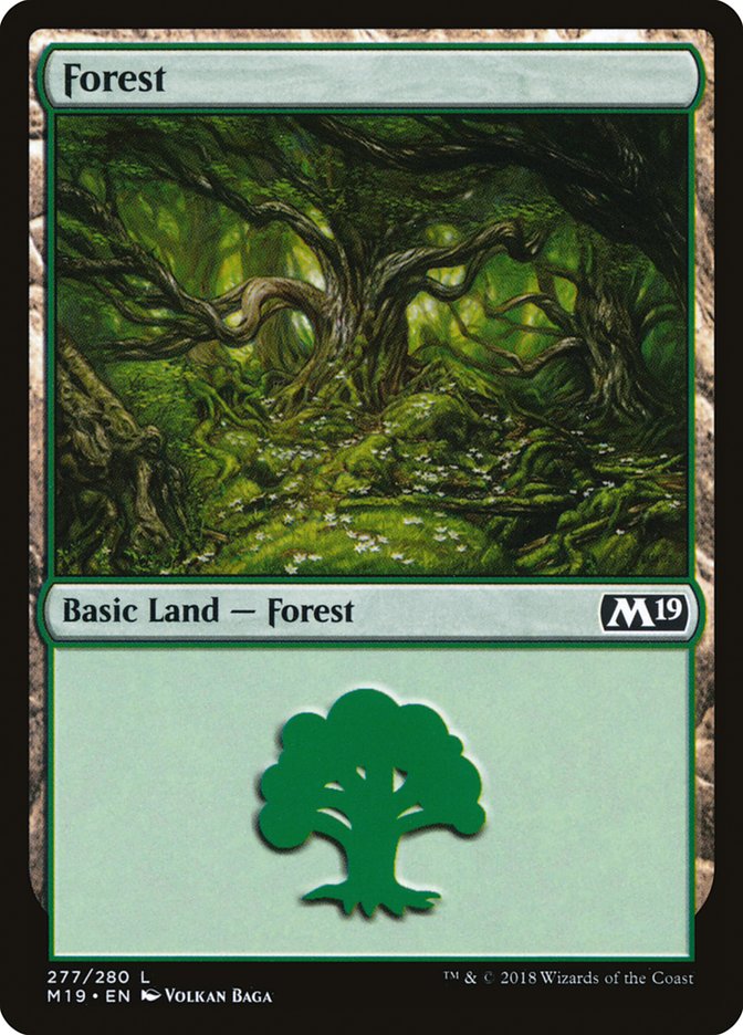 Forest (277) [Core Set 2019] Magic: The Gathering