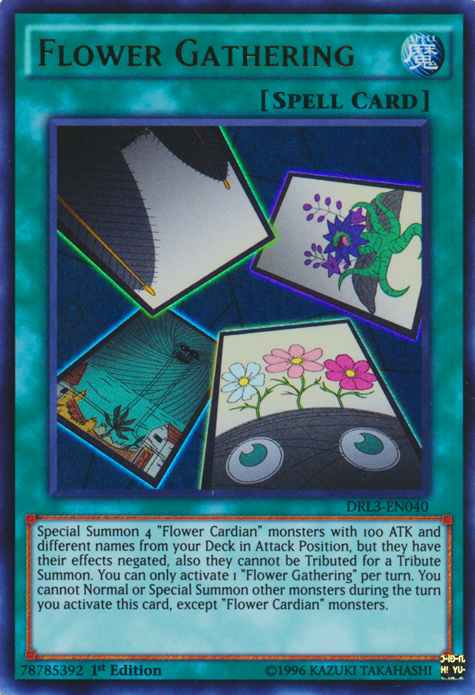 Flower Gathering [DRL3-EN040] Ultra Rare Yu-Gi-Oh!