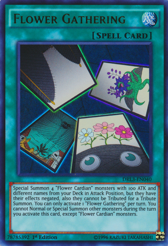 Flower Gathering [DRL3-EN040] Ultra Rare Yu-Gi-Oh!