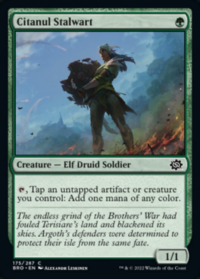 Citanul Stalwart [The Brothers' War] Magic: The Gathering