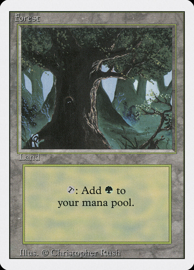 Forest (306) [Revised Edition] Magic: The Gathering