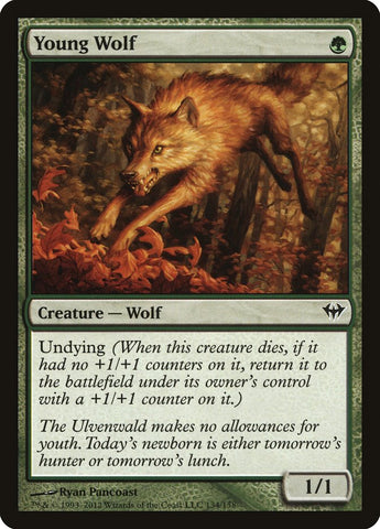 Young Wolf [Dark Ascension] Magic: The Gathering