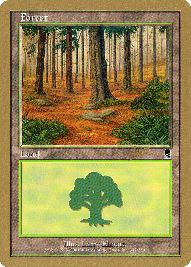 Forest (rl347) (Raphael Levy) [World Championship Decks 2002] Magic: The Gathering