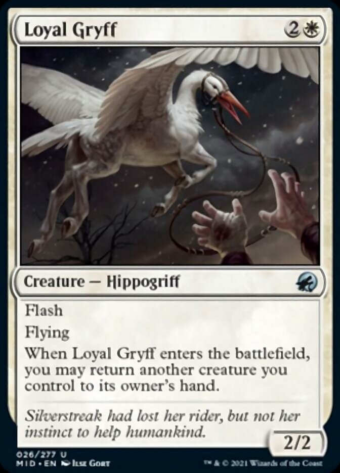 Loyal Gryff [Innistrad: Midnight Hunt] Magic: The Gathering