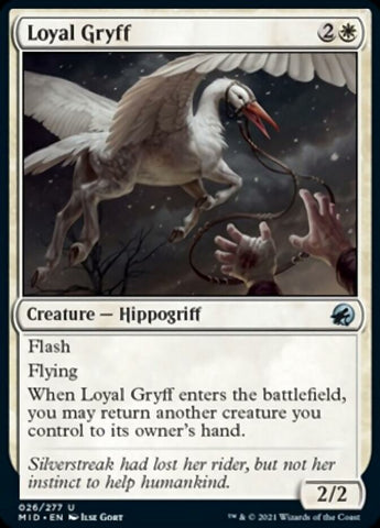 Loyal Gryff [Innistrad: Midnight Hunt] Magic: The Gathering