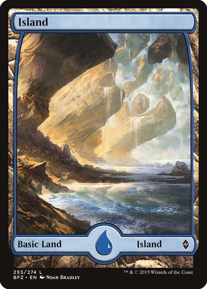 Island (255) [Battle for Zendikar] Magic: The Gathering