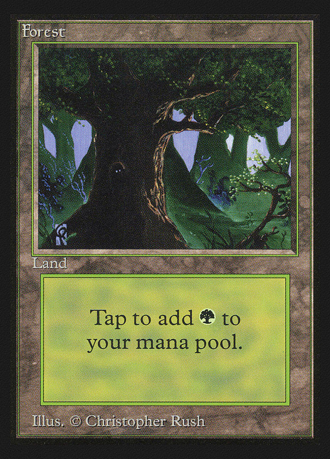 Forest (302) [International Collectors' Edition] Magic: The Gathering