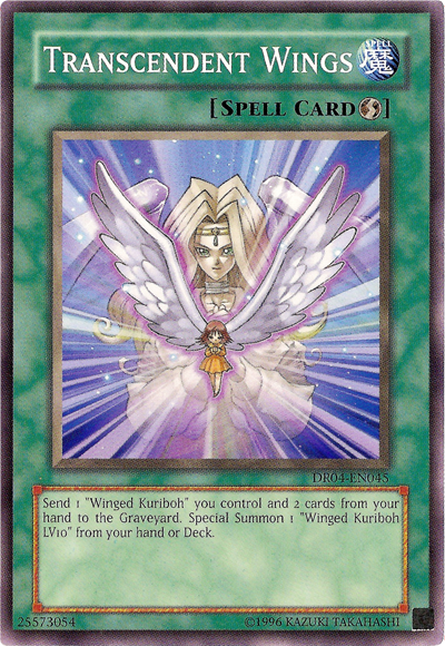 Transcendent Wings [DR04-EN045] Common Yu-Gi-Oh!