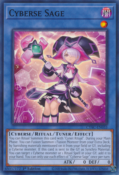 Cyberse Sage [CYAC-EN033] Common Yu-Gi-Oh!