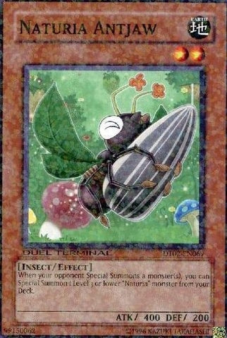 Naturia Antjaw [DT02-EN069] Common Yu-Gi-Oh!