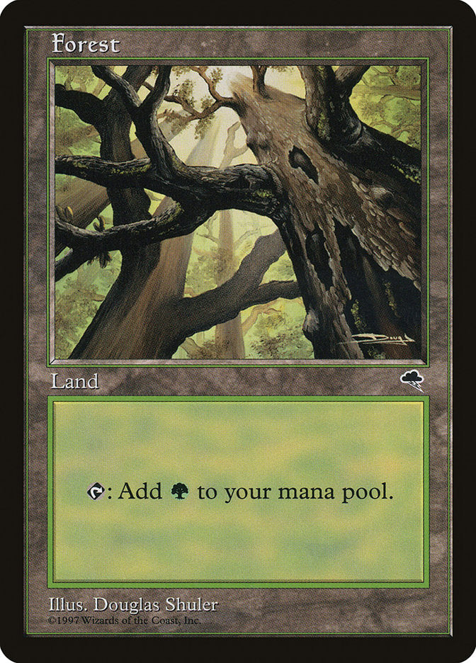 Forest (347) [Tempest] Magic: The Gathering