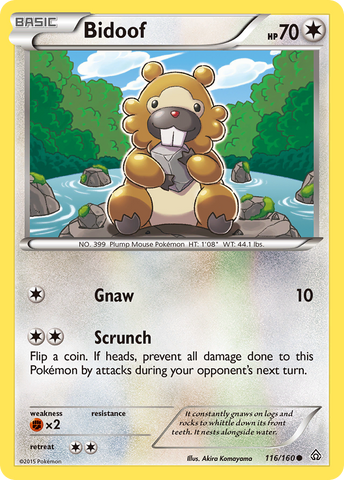 Bidoof (116/160) [XY: Primal Clash] Pokémon