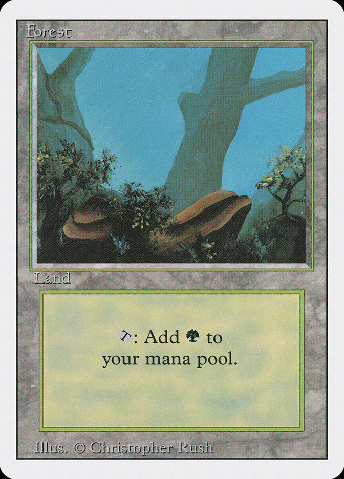 Forest (304) [Revised Edition] Magic: The Gathering