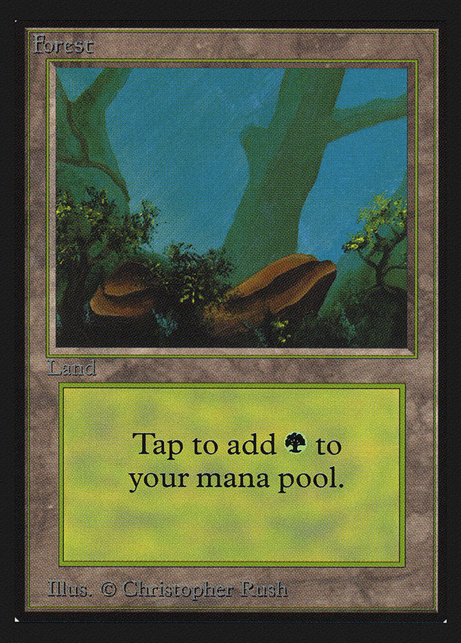Forest (300) [Collectors' Edition] Magic: The Gathering